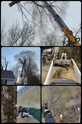 State of the art equipment, paired with our fully certified/licensed team of experts, made for an easy day removing several trees from this homeowners property! | Helmer’s Complete Tree Service, LLC