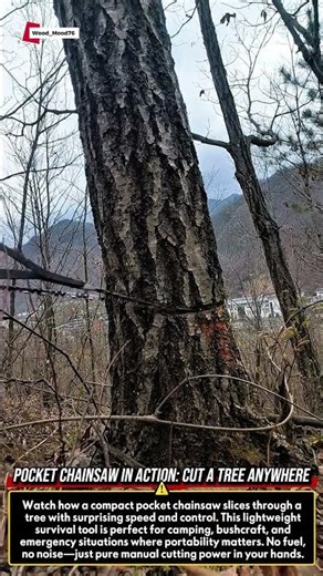 Pocket Chainsaw in Action: Cut a Tree Anywhere #woodworking #satisfying #tools #wood