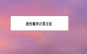 遗传概率计算方法