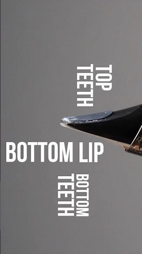 Beginner Saxophone Basics // Embouchure Essentials (How to Blow Air Through the Saxophone)