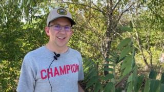 Removing tree of heaven (TOH) from your property can keep #SpottedLanternfly at bay. But first, you need to know what TOH looks like before you can eradicate it. Watch the video and then go to https://agriculture.wv.gov/divisions/plant-industries/spotted-lanternfly/ for more information. | West Virginia Department of Agriculture