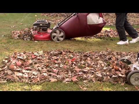 The lawnmower part that wins all the leaf bagging: The Big Leaf Bag