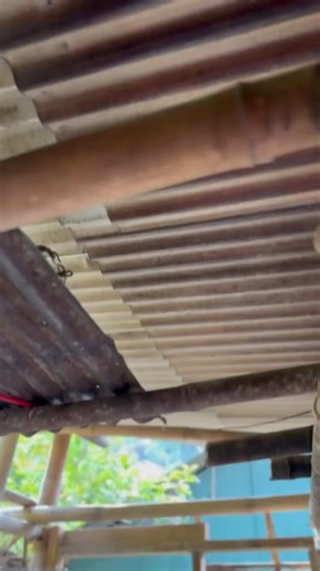 Divertidos clips de garda que te harán reír