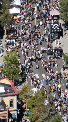 Festivals and Events Vertical Web