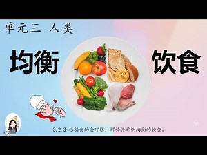 三年级 KSSR Semakan 科学 单元三 人类【均衡的饮食】【饮食不均衡的后果】【营养标签】