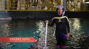 Amanda followed her dream in marine biology. Help her inspire the next generation of wildlife heroes! | The Association of Zoos and Aquariums