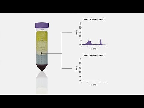 Cell Isolation in One Spin Using SepMate™ Tubes and RosetteSep™ Cell Separation Reagents
