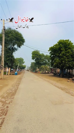 Discover Khaneval: Cultural Insights from Chauk Jamal