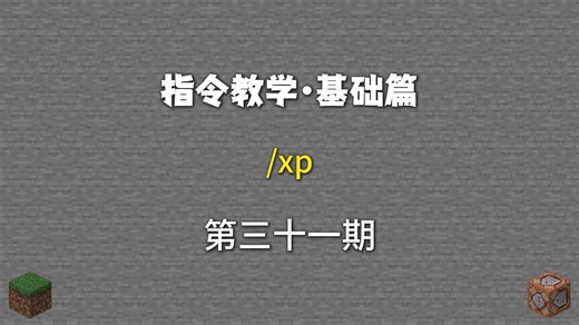 指令教学第31期：/xp
