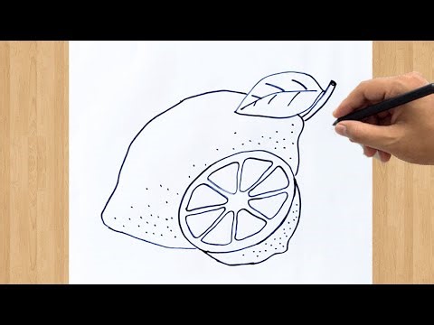 How to Draw a Lemon Fruit Easy Step by Step Drawing