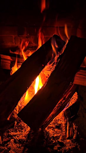 🌿 Cedro Plano (flat cedar) Conocido como “hante blaska” en Lakota, una de las 4 medicinas sagradas utilizadas para la ceremonia de inipi. (Cedro plano, osha, pasto dulce y salvia blanca). 🔥"Para los Lakota, el cedro es un árbol sagrado que encarna la protección y el poder espiritual. Su corteza y madera se utilizan en ceremonias para limpiar y purificar a individuos y espacios, sirviendo como conducto para conectar los mundos físico y espiritual. La importancia del cedro se basa en su papel co