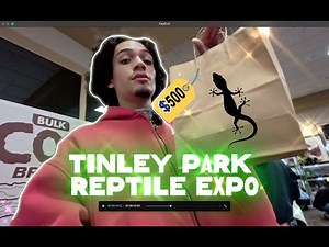 Tour of TINLEY PARK REPTILE EXPO!!!(Pure EXOTICS)