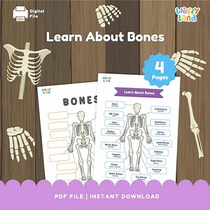 Learn About Bones - Human Skeleton Labeling Activity - Fun Science Worksheets - Etsy