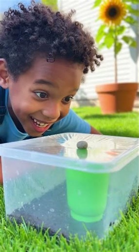 Build a Mini Solar Still!