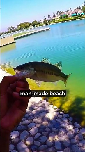 Ultimate Guide to Woodbridge Irvine