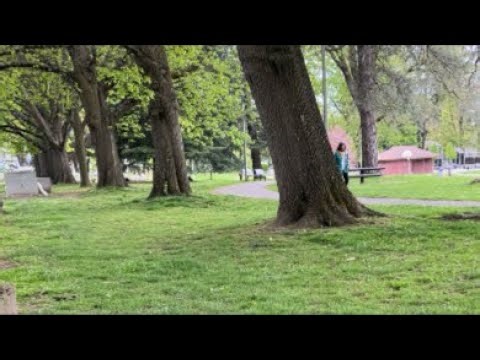 METAL DETECTING #dirtsharks