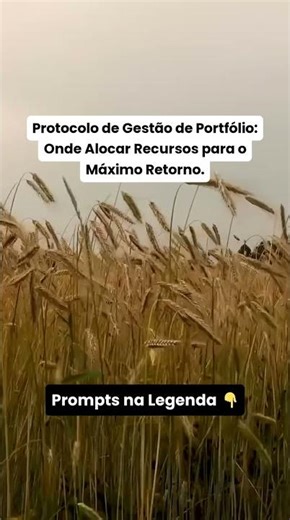 Gestão de Portfólio: ROI @GuilhermeeBenuto @hypex.cortes #HypexCortes #SkinDeBaladeiraHX