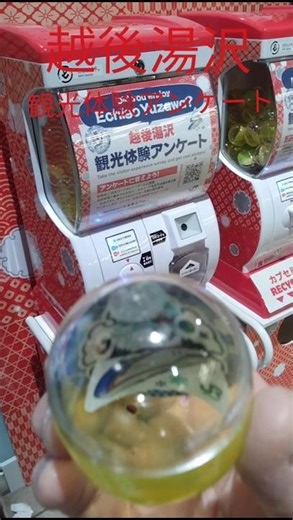 #越後湯沢 #周辺地図 #観光体験アンケート #カプセルトイ #冬