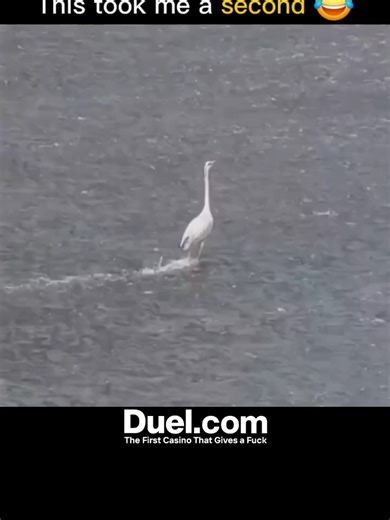 This Took Me a Second 😳🧠 At first glance, it looks simple — but wait until you really see it 👀 Your brain tries to make sense of shapes, colors, and depth instantly 🌀 It’s a perfect example of how perception can trick the human mind 🎭 We process visual information faster than we realize — sometimes wrongly ⚡ Optical illusions like this play with light, shadow, and perspective 🎨 They reveal how the brain fills in missing details automatically 🧠 That’s why once you see it, you can’t unsee i