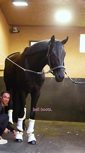 229K views · 16K reactions | Trick Riding >>> Trick-Or-Treating  Stay tuned to see how Flynn’s first trick riding session went! 﫣 | AnnA Buffini Dressage | Facebook