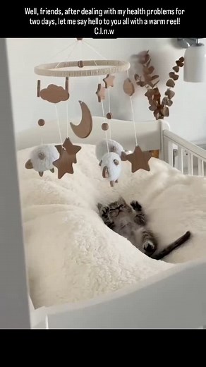 343K views · 15K reactions | I had a small operation today. Yesterday...