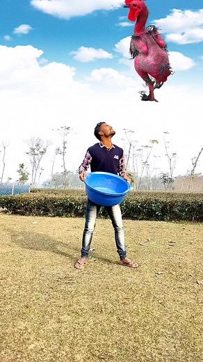 936K views · 2K reactions | The chicken  vs fish catching & 轢 gorilla _Funny VFX video | Vfx Dipankar | Facebook