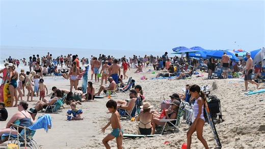 Your guide to this weekend at the Delaware beaches: Weather, wildlife, events