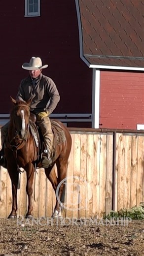 Snaffle Bit Basics- Reward the Stop