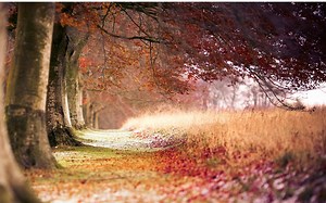 Java-工厂模式-工厂方法-抽象工厂