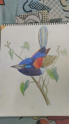 How I Draw Birds (a creative process) #bird #art #subscribe