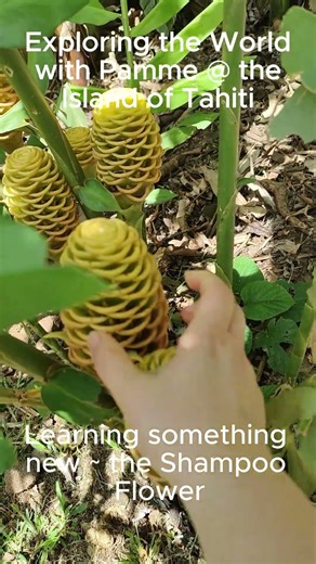 Exploring the World with Pamme~Island of Tahiti, French Polynesia