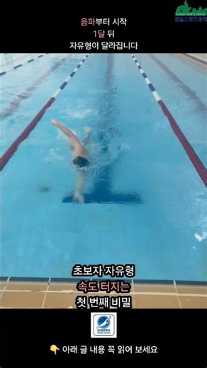 한 달 만에 자유형 속도가 빨라진다고요? 🤔#자유형 #음파음파