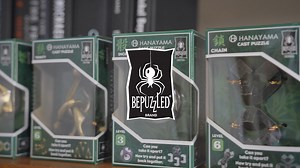 BePuzzled, Nutcase Hanayama Metal Brainteaser Puzzle Level 6 Ages 12