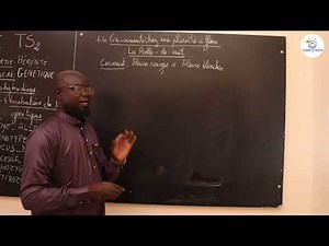 Course - Terminale S1&S2 - SVT: Course summary / Genetics / Suite 3 / M. Gnasse