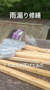 雨漏り修繕 とりあえずシートを広げてみたけど、強風きたら飛ばされそう #雨漏り修理 #diy #古民家