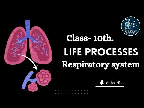 Class-10th| Life process|| Respiratory system (Animated)|| Part-2