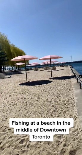 Did you know this existed? #ERF #earlyriserfishing #fishing #hunting #fish #pike #toronto #lakeontario #lakefishing #greatlakes #urbanfishing #beach #outside #photography #outdoors