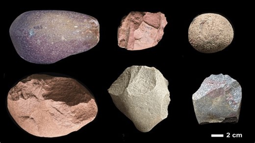 Ancient humans moved diverse stones over substantial distances: Study