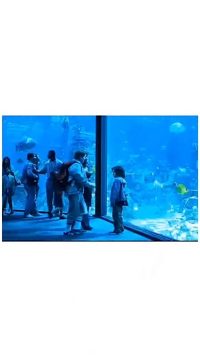 movie filx | 🎥 The Possession Genre: Horror / Mystery / Thriller Movie Length: 1h 32m IMDb Rating: 5.9/10 Explanation: When a young girl buys an antique... | Instagram