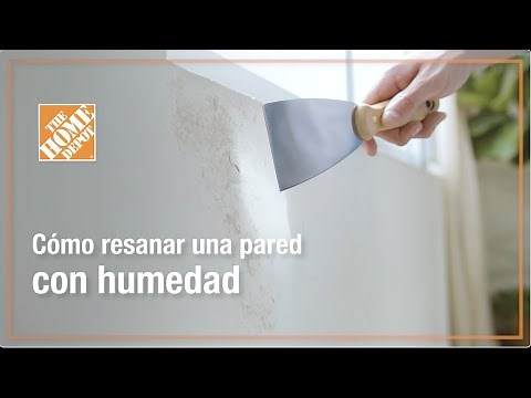 Cómo resanar una pared con humedad | Pinturas
