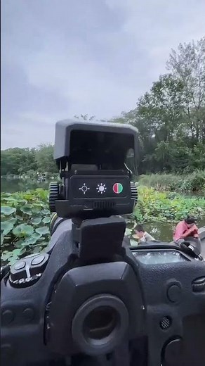 Nikon D6 + Sigma 150-500mm | Wildlife Bird Photography Magic