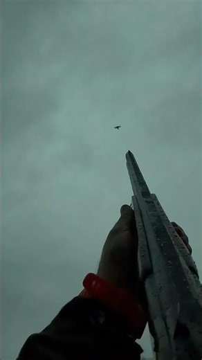 Browning b725 pro sport..