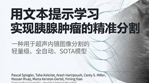 用文本提示学习实现胰腺肿瘤的精准分割：超轻量全自动SAM来袭！