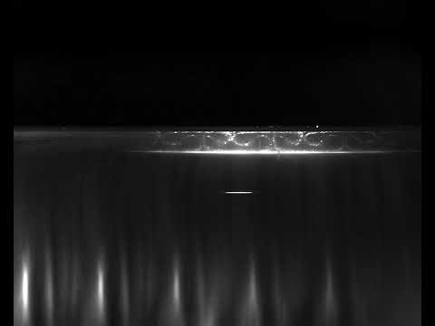 Taylor vortices in a Taylor-Couette flow system