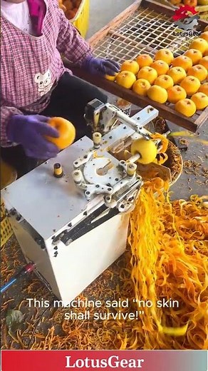 High-Speed Orange Peeling Machine | Industrial Citrus Processing Automation #satisfying