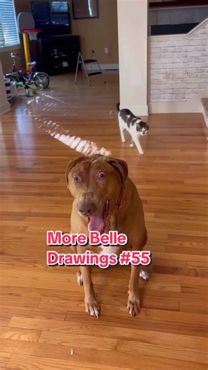 More Belle Drawings Showcase | Art of Belle Bows and Fan Drawings