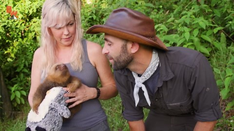 Sloth Caught in Action: The Rarest Natural Moment