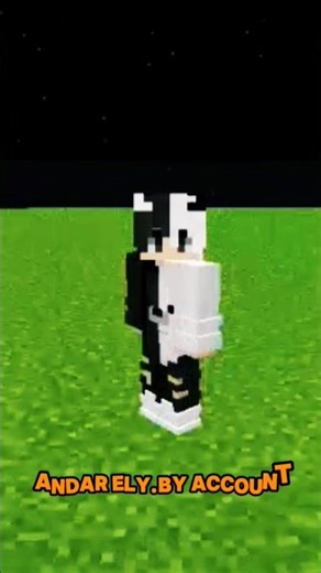 Add Skins In Mojo Launcher