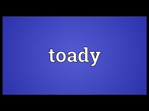 Toady Meaning
