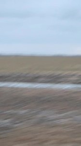 Western Nebraska views #deer #doe #whitetail #roadkill | Reel Fresh Catch